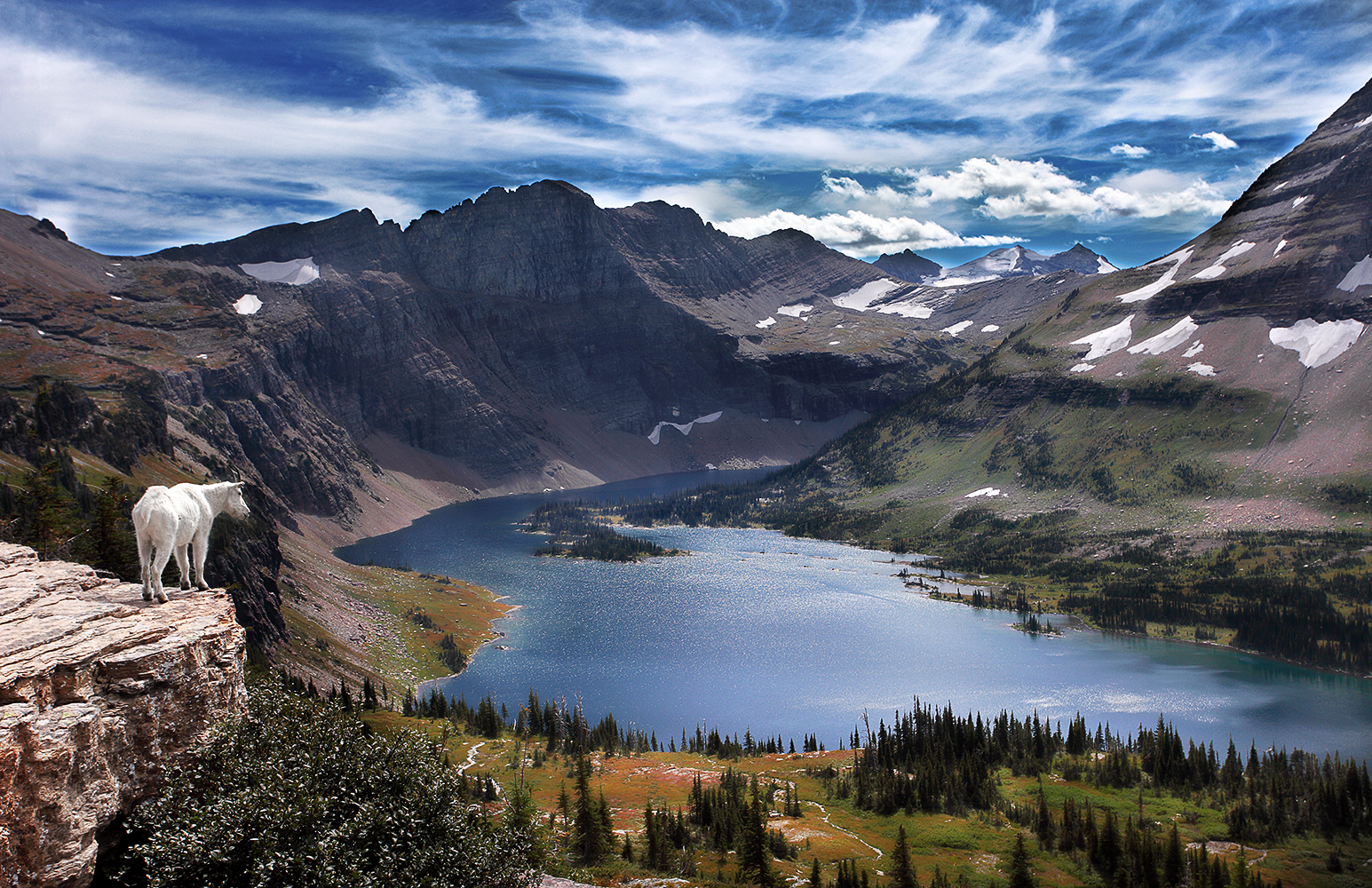 Mountain Goat view of Hidden Lake